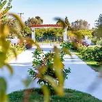 Maroula *