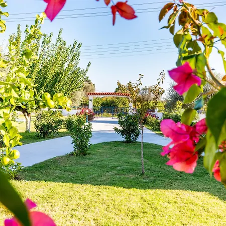 Maroula Apartment